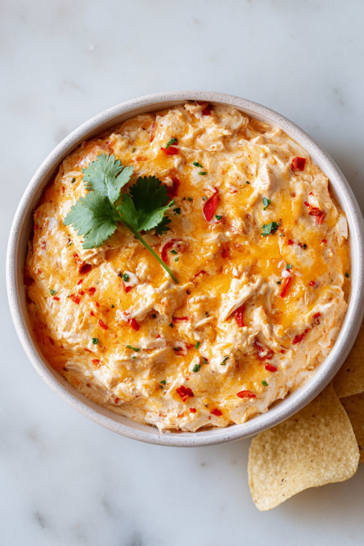 Chicken Enchilada Dip