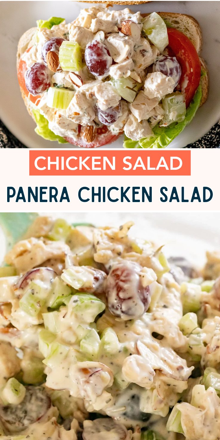 Chicken salad on sandwich bread topped with lettuce and tomato, styled Panera-style.