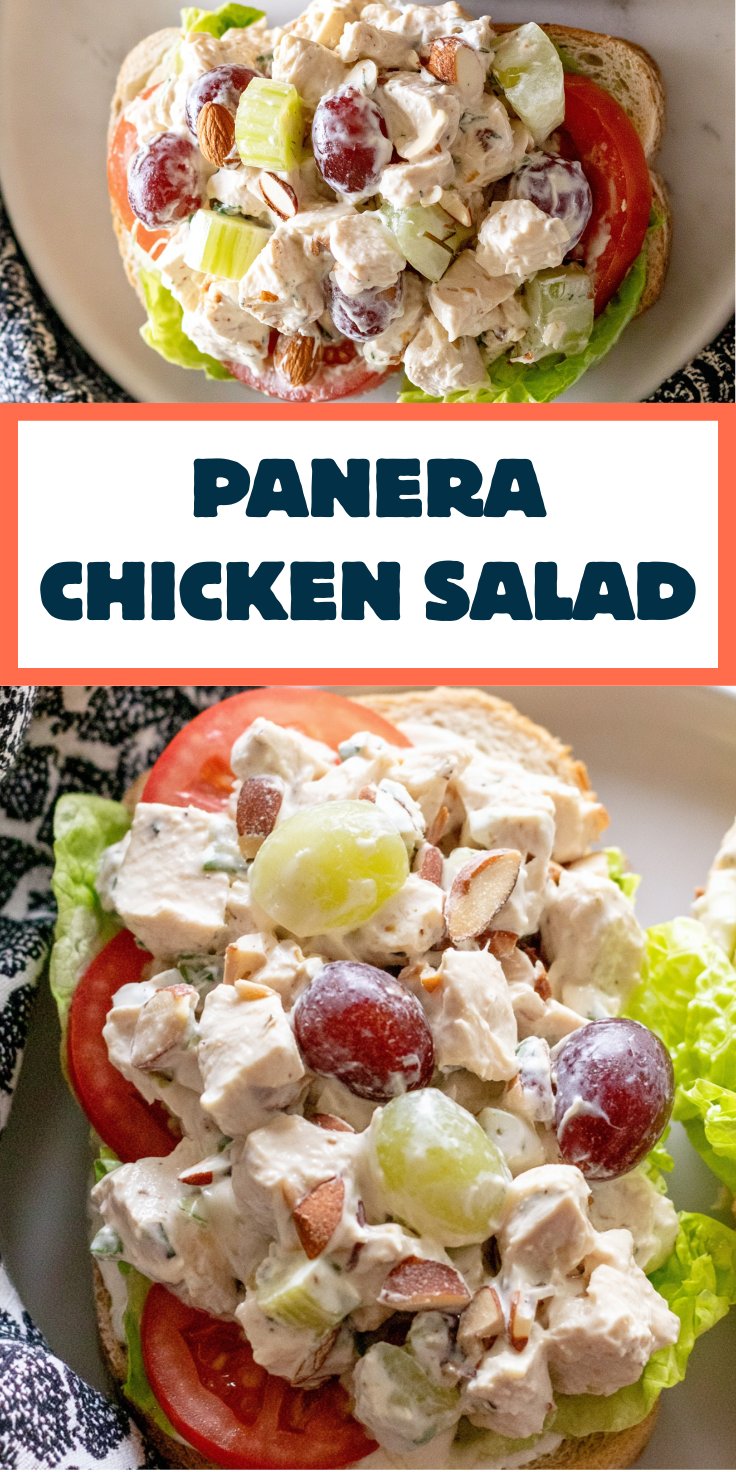 Open-faced sandwich with Panera-style chicken salad made with grapes, celery, and almonds.