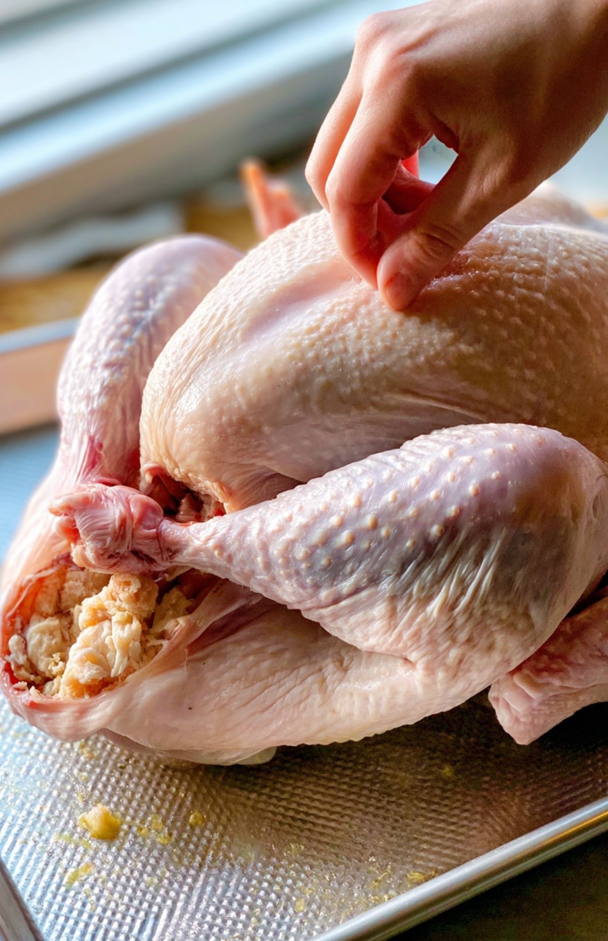 Raw turkey cavity being stuffed with lemon, apple, onion, and fresh herbs.