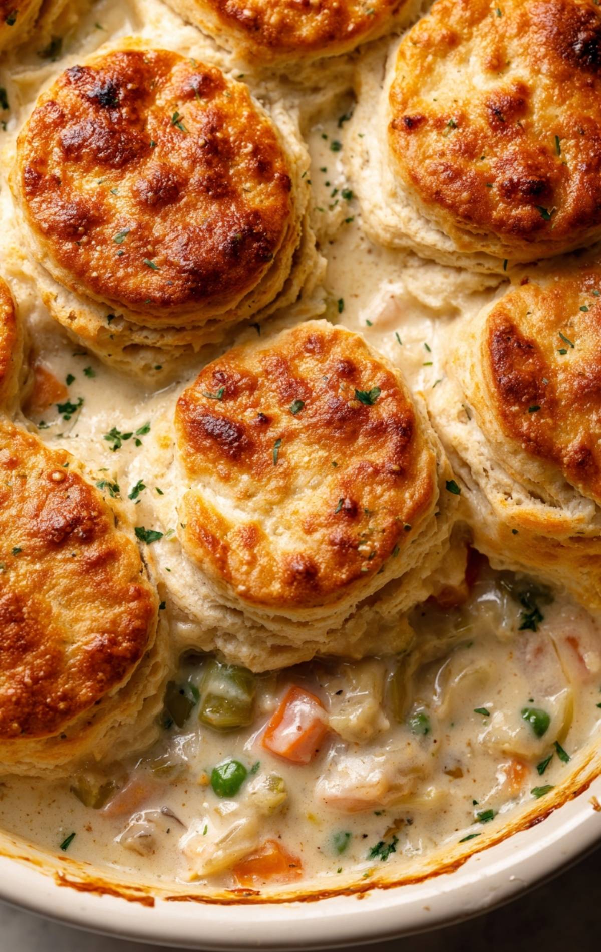 Chicken & Biscuit Cobbler