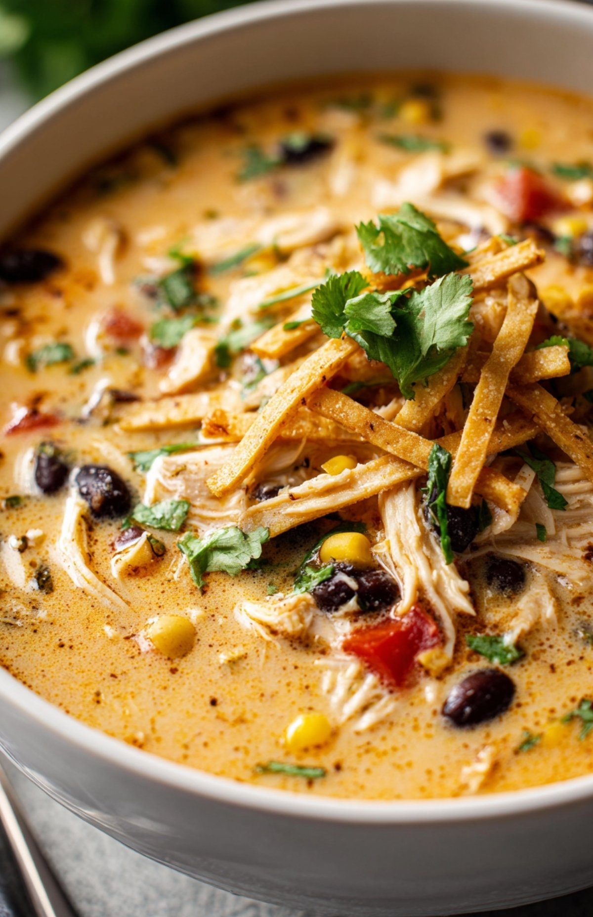 Creamy Southwest Chicken Soup